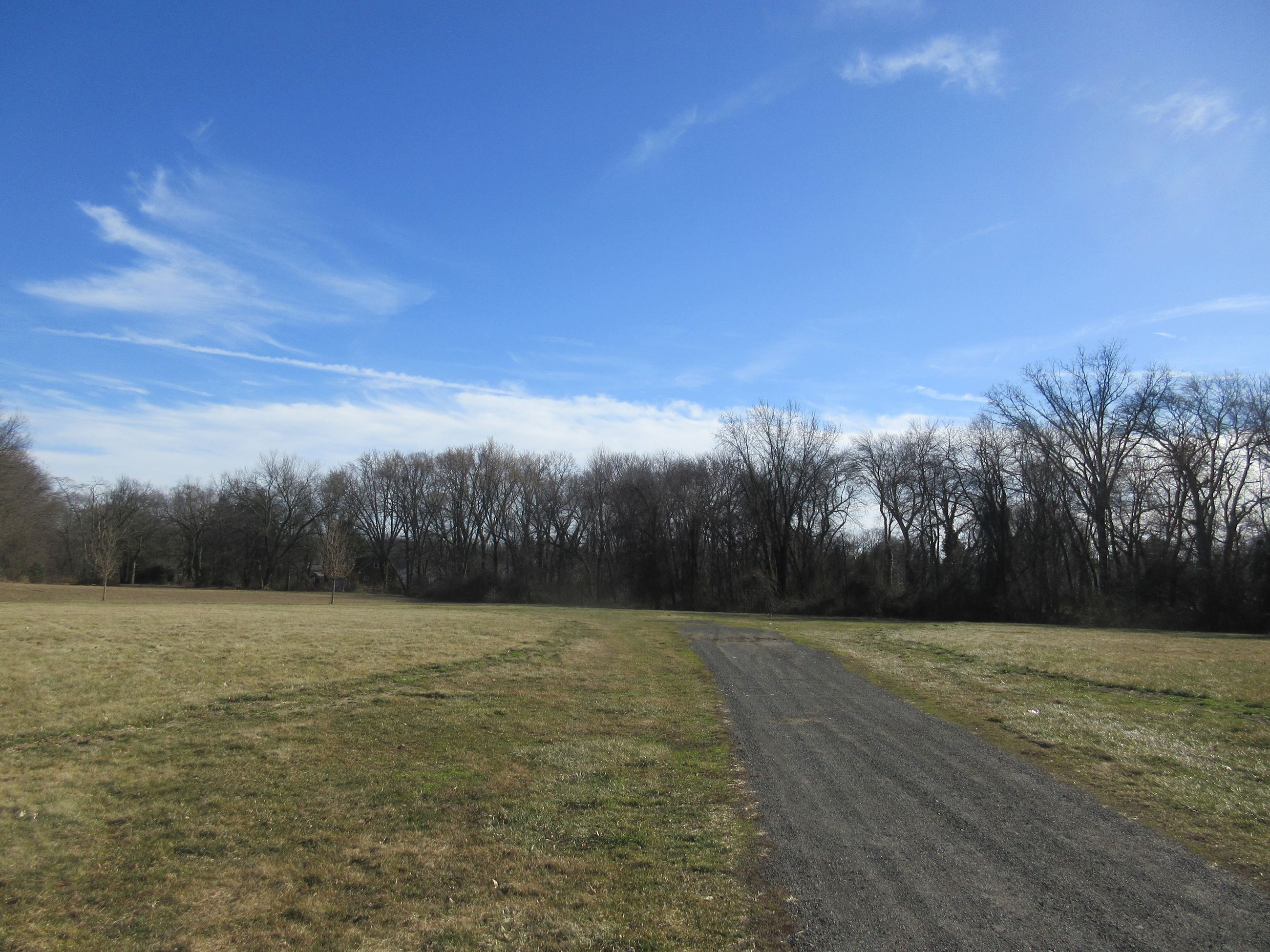 Ground level view from Brook Lane of the open fields.