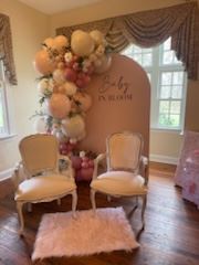 Baby Shower with backdrop and balloons