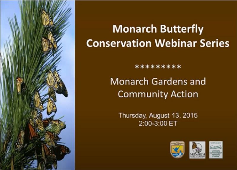 View the Monarch Gardens and Community Action video on YouTube