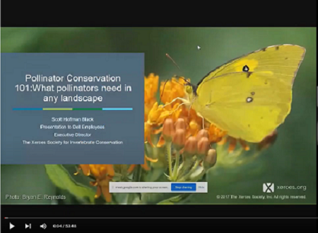 View the Pollinator Conservation 101 video on YouTube