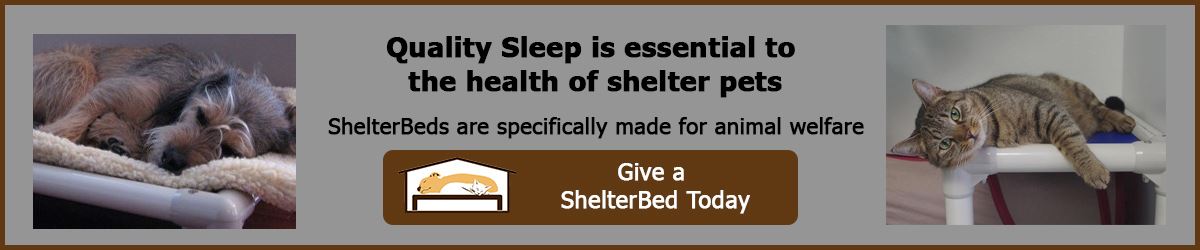 ShelterBeds_donate1